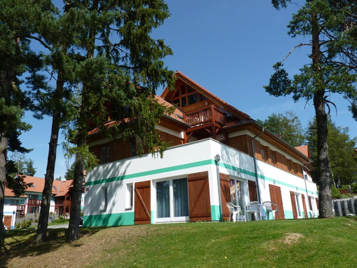 Apartment Lipno